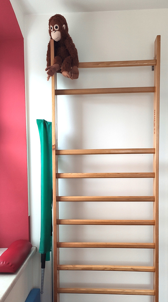 Zimmer-Affe